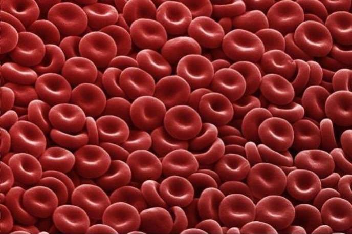 Globules rouges