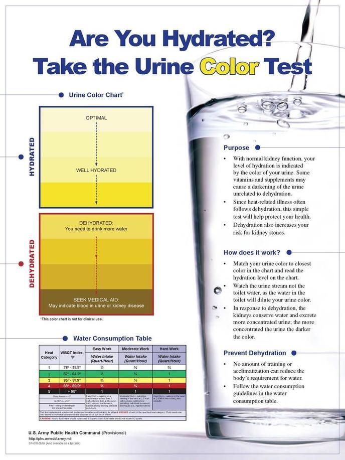 comment avoir des urines claires