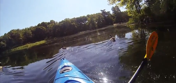 La vie de tous les jours ne ressemble pas aux vidéos GoPro