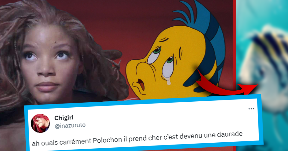 La Petite Sirène : 'Il sort de désintox', 'Enfance bafouée', Polochon  devient la risée des fans de Disney (20 tweets)