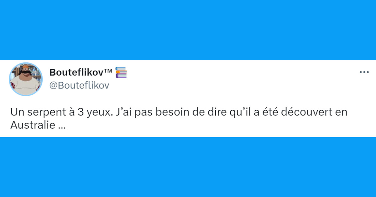 Top 20 des tweets les plus drôles sur l