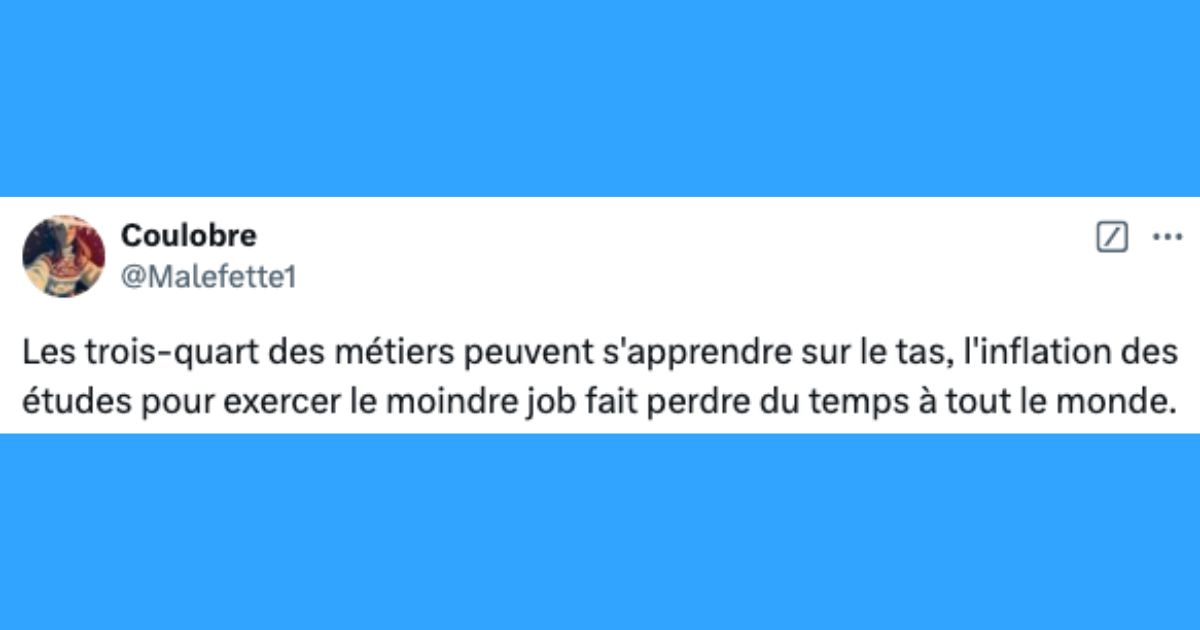 Les internautes partagent leurs 15 opinions les plus controversées sur les études