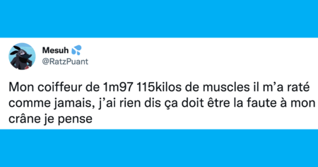 Top 20 des tweets les plus drôles sur les coiffeurs, ils ont notre vie entre leurs mains