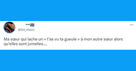 Top 20 des tweets les plus drôles sur les jumeaux et jumelles, il y a comme un air de famille