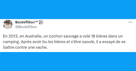 Top 20 des tweets les plus drôles sur les campings, le paradis