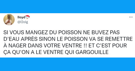 Top 20 des tweets les plus drôles sur l'eau, 