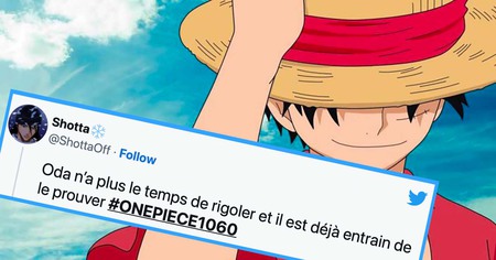 One Piece #1060 : on avait tout faux sur le vrai rêve de Luffy, les fans deviennent fous (25 tweets)