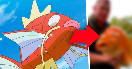 Pokémon : il pèche le plus gros poisson rouge au monde, un Magicarpe en chair et en écailles