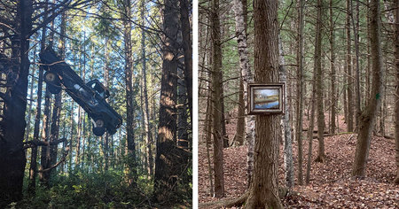 28 choses totalement incroyables trouvées en pleine forêt