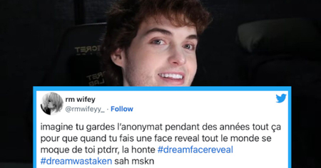 Minecraft : le youtubeur Dream victime de moqueries après son Face Reveal (50 tweets)