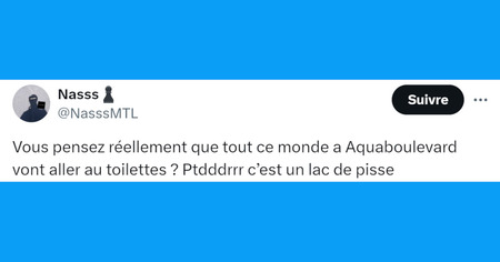 Top 20 des tweets les plus drôles sur Aquaboulevard, le parc aquatique du chaos