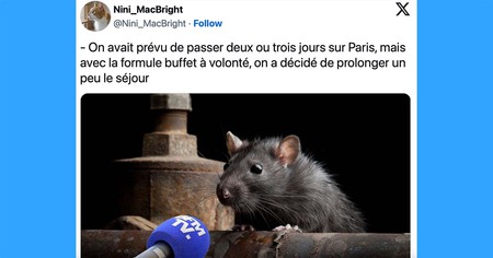 Top 20 des tweets les plus drôles sur les buffets à volonté, pour les plus affamés