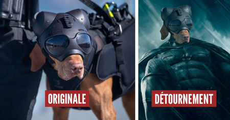 Photoshop Battle : ce chien avec un casque déchaîne les internautes