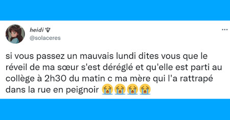 Top 20 des tweets les plus drôles sur le lundi, la journée du désespoir