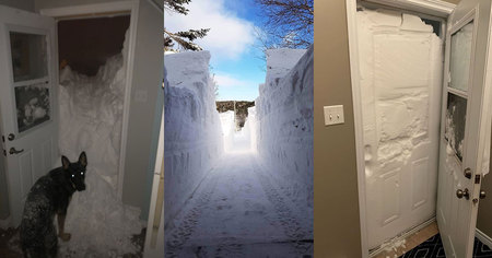 Canada : 30 photos impressionnantes des chutes de neige qui  touchent actuellement une partie du pays