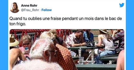 Top 25 des meilleurs tweets sur les fruits et légumes, pour rester en bonne santé