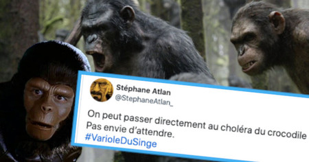 Variole du Singe : les internautes réagissent avec humour à ce nouveau virus (17 tweets)