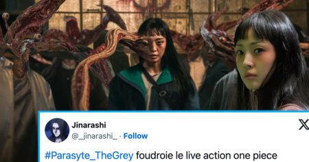 Parasyte the Grey : les internautes encensent la série d'horreur Netflix (20 tweets)