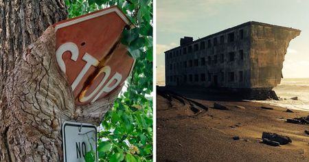 Quand Dame Nature reprend ses droits sur les constructions de l'Homme