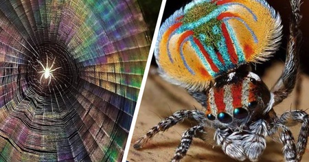 35 photos qui prouvent que la Nature peut se montrer aussi magnifique qu'effrayante