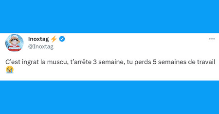 Top 20 des tweets les plus drôles sur la musculation, on prépare le summer body