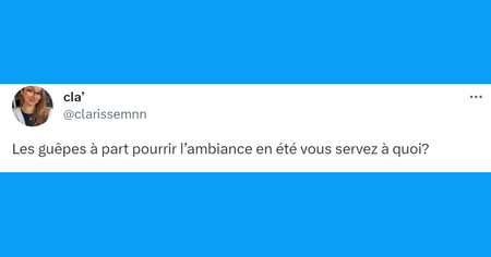 Top 20 des tweets les plus drôles sur les guêpes et les abeilles, bientôt le retour