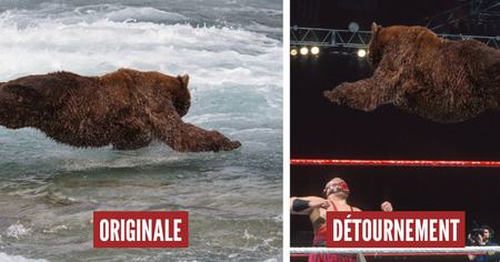 Photoshop Battle : cet ours qui plonge déchaîne les internautes