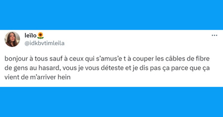 Top 20 des tweets les plus drôles sur la fibre, ça va toujours plus vite