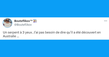 Top 20 des tweets les plus drôles sur l'Australie, le refuge des pires créatures de la planète