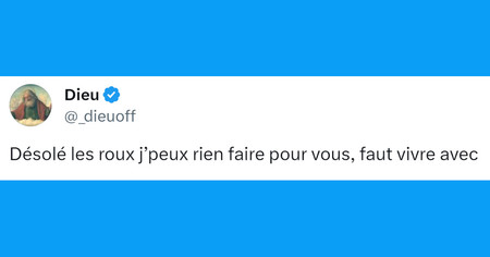 Top 20 des tweets les plus drôles sur les roux, quand même la Nature vous déteste