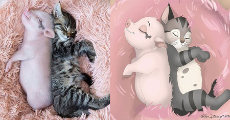 Cette artiste redessinent les animaux des internautes dans le style Disney (75 images)