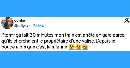 Top 20 des tweets les plus drôles sur les valises, bon voyage