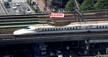 Au Japon, une limace provoque le retard de 12 000 passagers ferroviaires