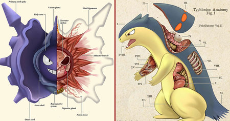 71 Pokémon coupés en deux pour tout connaître de leur anatomie