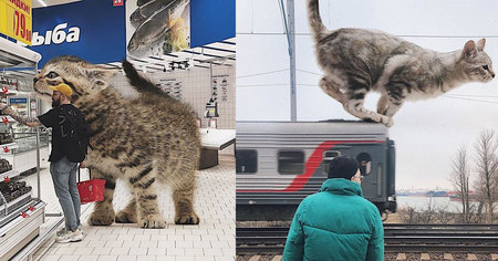 Il imagine à quoi ressemblerait le monde si les chats étaient plus gros (30 images)