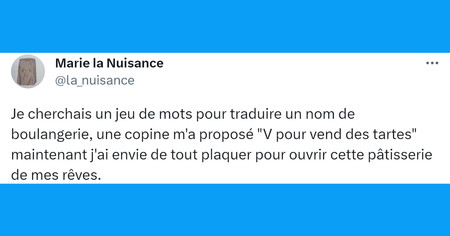 Top 20 des tweets les plus drôles sur les jeux de mots, vive les calembours