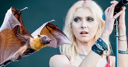 Taylor Momsen se fait attaquer par une chauve-souris en plein concert (vidéo)