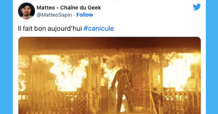 Canicule : les meilleures réactions aux vagues de chaleur (16 tweets)