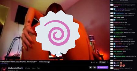 Twitch : elle montre pleinement ses parties génitales en live et écope d'un ban ridicule