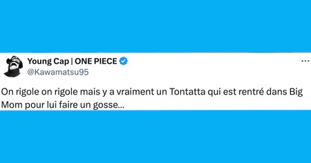 Top 20 des tweets les plus drôles sur One Piece, le manga qui ne finit jamais