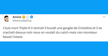 Top 20 des tweets les plus drôles sur le catch, le meilleur sport