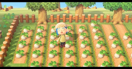 Animal Crossing New Horizons : les joueurs optent pour des solutions intrigantes pour stocker leurs navets