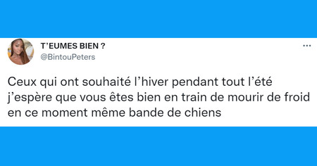 Top 20 des tweets les plus drôles sur l'hiver, la saison la plus sous-cotée