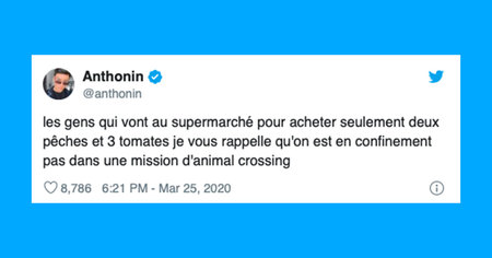 Coronavirus : le grand n'importe quoi des réseaux sociaux après deux semaines de confinement (30 tweets)