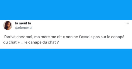 Top 20 des tweets les plus drôles sur les canapés, nos deuxièmes lits