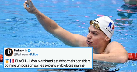 JO 2024 : Léon Marchand remporte 4 médailles d'or, les twittos deviennent fous (20 tweets)