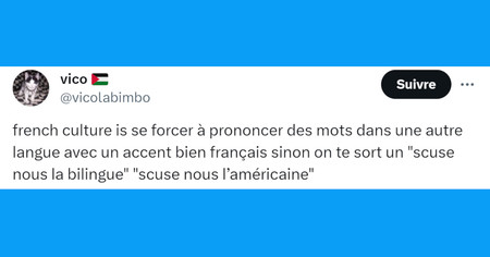 Top 20 des tweets les plus drôles sur les bilingues, 