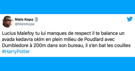 Les meilleures réactions à la rediffusion d'Harry Potter et la Chambre des Secrets sur TMC (25 tweets)