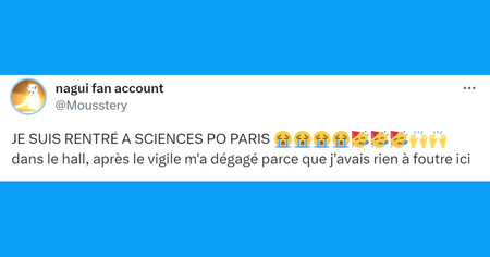 Top 20 des tweets les plus drôles sur les vigiles, nos gardiens