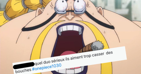 One Piece #1030 : la puissance de ces deux personnages a rendu fou les lecteurs (30 tweets)